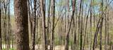 0 Gap Road - Photo 31