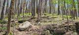 0 Gap Road - Photo 36