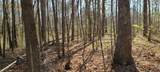 0 Gap Road - Photo 10