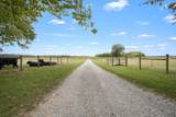 176 Terry Dunavan Rd - Photo 17