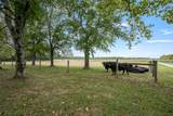 176 Terry Dunavan Rd - Photo 18