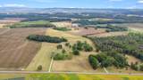 176 Terry Dunavan Rd - Photo 8