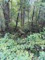 0 Old Lula Rd - Photo 4