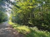 0 Old Lula Rd - Photo 7
