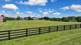 1729 Twelve Oaks Ln - Photo 7