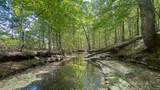 0 Jeannette Holladay Rd - Photo 22