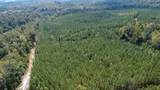 0 Jeannette Holladay Rd - Photo 34