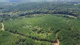 0 Jeannette Holladay Rd - Photo 36