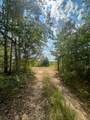 0 Jeannette Holladay Rd - Photo 48