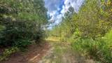 0 Jeannette Holladay Rd - Photo 6
