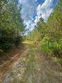 0 Jeannette Holladay Rd - Photo 52