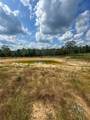 0 Jeannette Holladay Rd - Photo 54