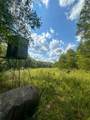 0 Jeannette Holladay Rd - Photo 57