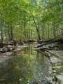 0 Jeannette Holladay Rd - Photo 64