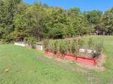 0 Mt Carmel Rd - Photo 8