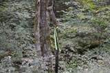 0 Campbell Hill Rd - Photo 19
