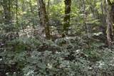 0 Campbell Hill Rd - Photo 23