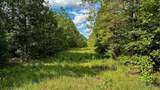 0 Hines Gin Road - Photo 1