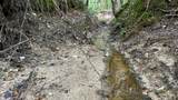 0 Hines Gin Road - Photo 14