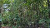 0 Hines Gin Road - Photo 4