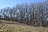 0 Sparta Hwy 63.3 Acres - Photo 19