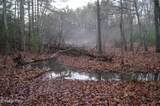 0 Sparta Hwy 63.3 Acres - Photo 23