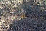 0 Sparta Hwy 63.3 Acres - Photo 57