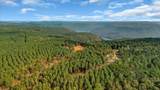 400 Treetop Street - Photo 7