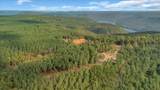 400 Treetop Street - Photo 8