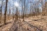 1009 Scramblers Knob - Photo 9