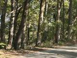 340 Bailey Ln - Photo 41