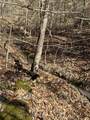 5681 Old Hohenwald Rd - Photo 18