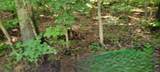 1 Terrapin Run Rd - Photo 7