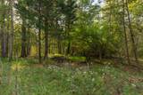 0 Payne Chapel Road - Photo 8