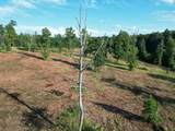 0 Box House Rd - Photo 13