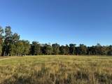 0 Annie Hollow Rd - Photo 5