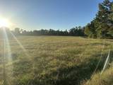 0 Annie Hollow Rd - Photo 6