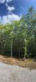 72 Lady Slipper Lane - Photo 11
