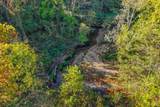 1740 Little Bartons Creek Rd - Photo 31