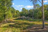 1740 Little Bartons Creek Rd - Photo 41
