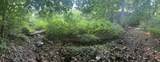 0 Old Clarksville Pike - Photo 8
