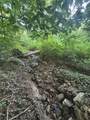 0 Old Clarksville Pike - Photo 9
