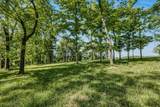 0 Burke Hollow Rd Tract 1 - Photo 6