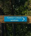 5845 Turkey Creek Rd - Photo 12
