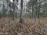 0 10.77 Acres - Valerie Drive - Photo 13