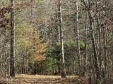 0 10.77 Acres - Valerie Drive - Photo 4