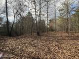0 10.77 Acres - Valerie Drive - Photo 8
