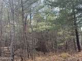 0 10.77 Acres - Valerie Drive - Photo 10