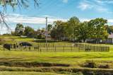 137 Southern Trce - Photo 73