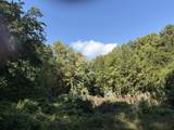 1431 Roarks Cove Rd - Photo 1